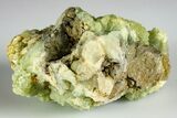 Green Prehnite Crystal Cluster - Morocco #190981-1